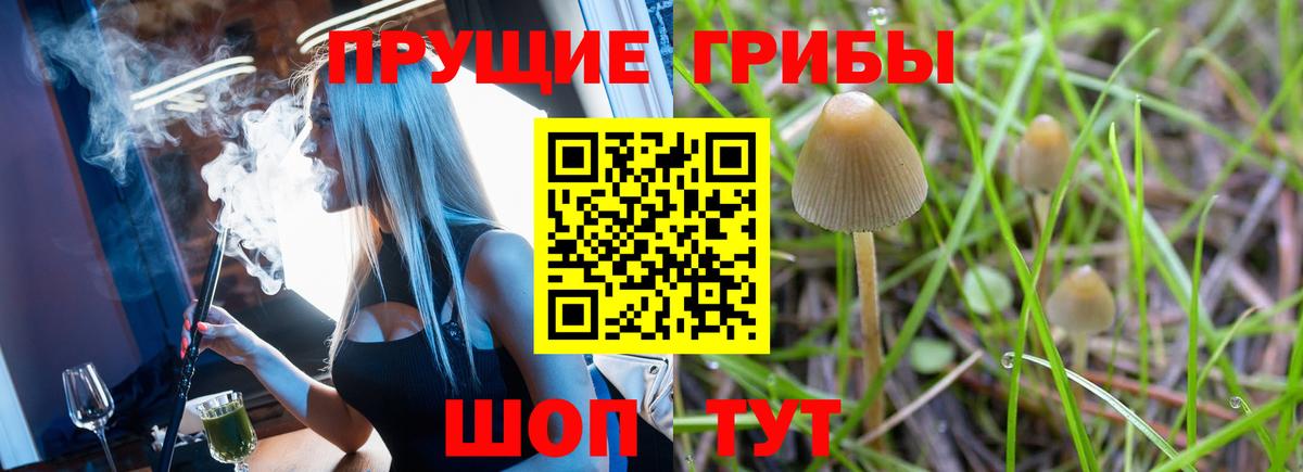 Галлюциногенные грибы мухоморы  что такое наркотик  Ефремов  Вход с VPN 